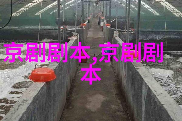京剧非物质文化遗产传承与发展